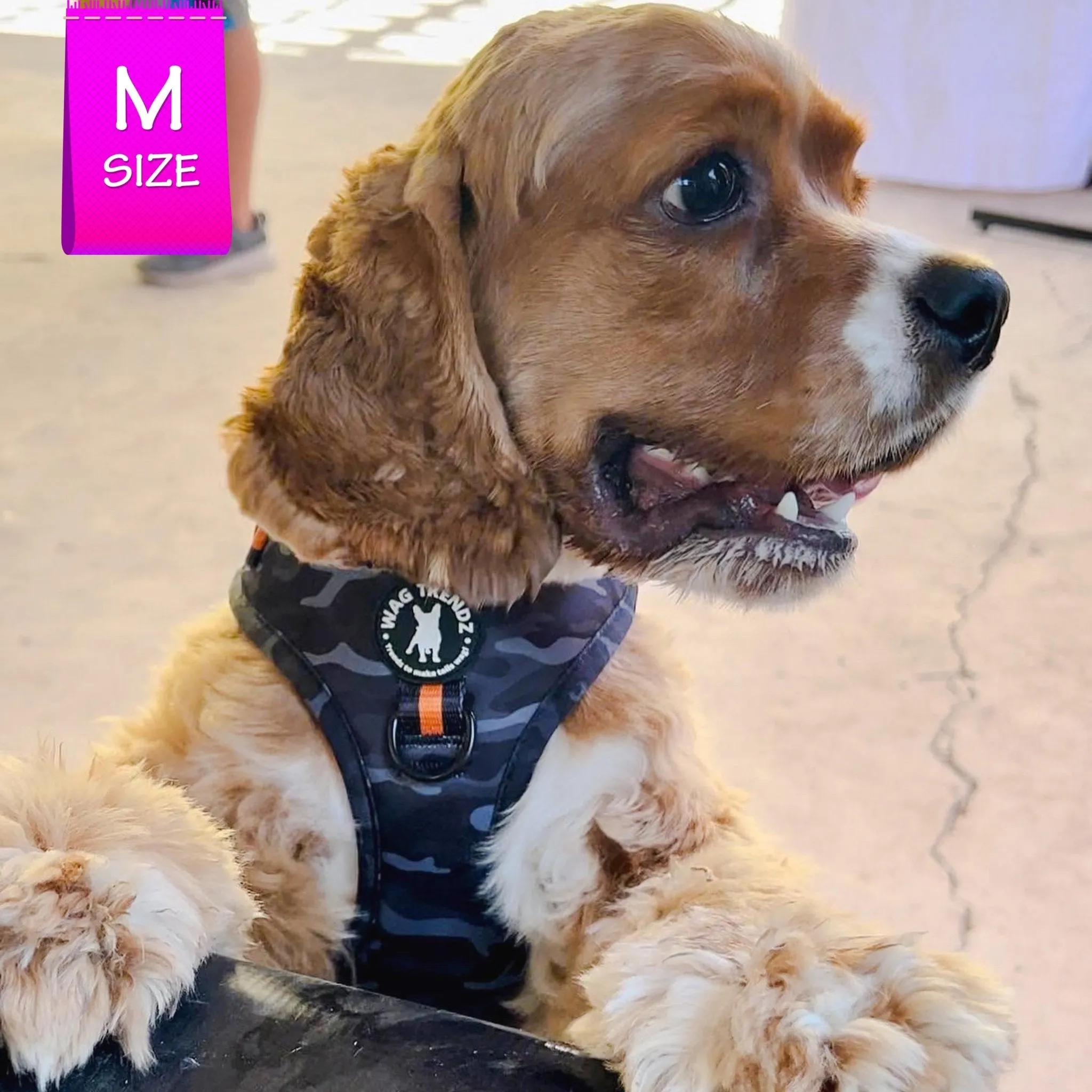 Dog Collar, Harness and Leash Set | Camo Chic (SHēk) Orange