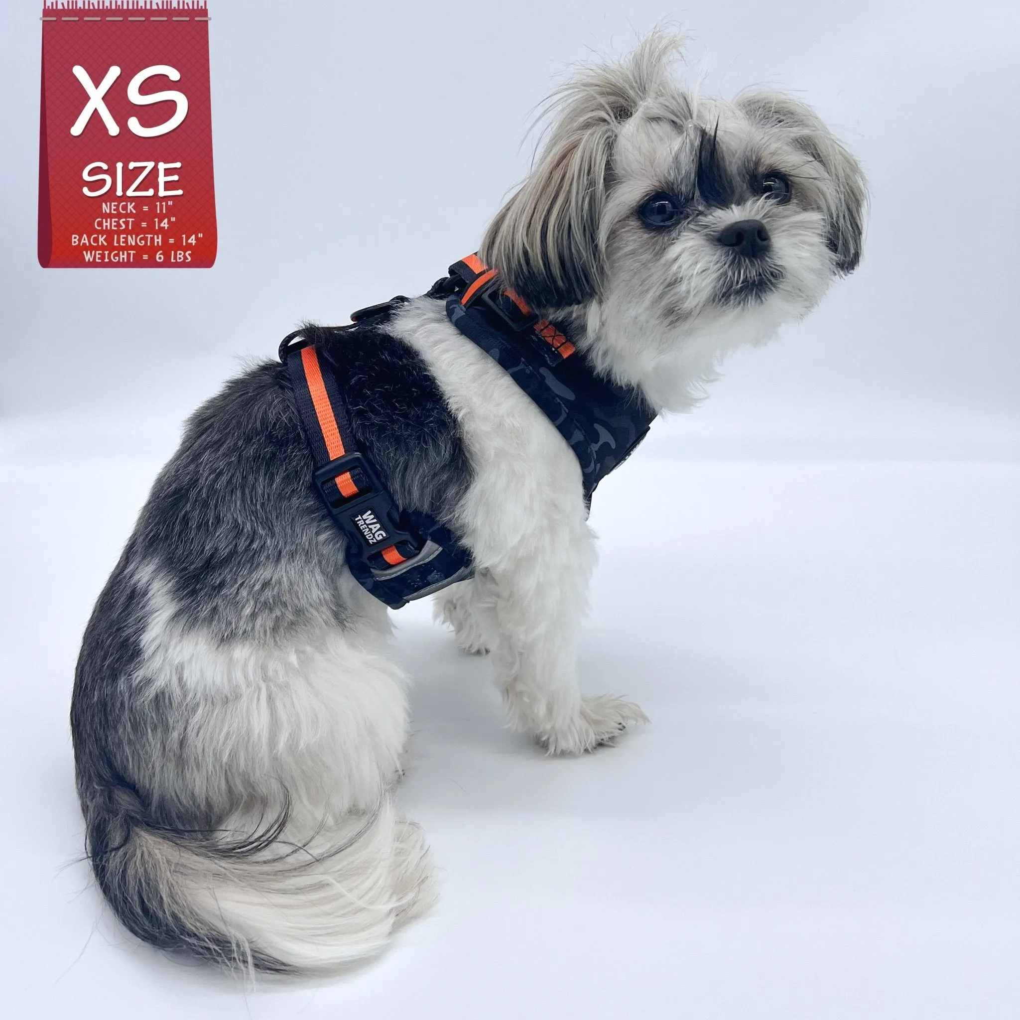 Dog Collar, Harness and Leash Set | Camo Chic (SHēk) Orange