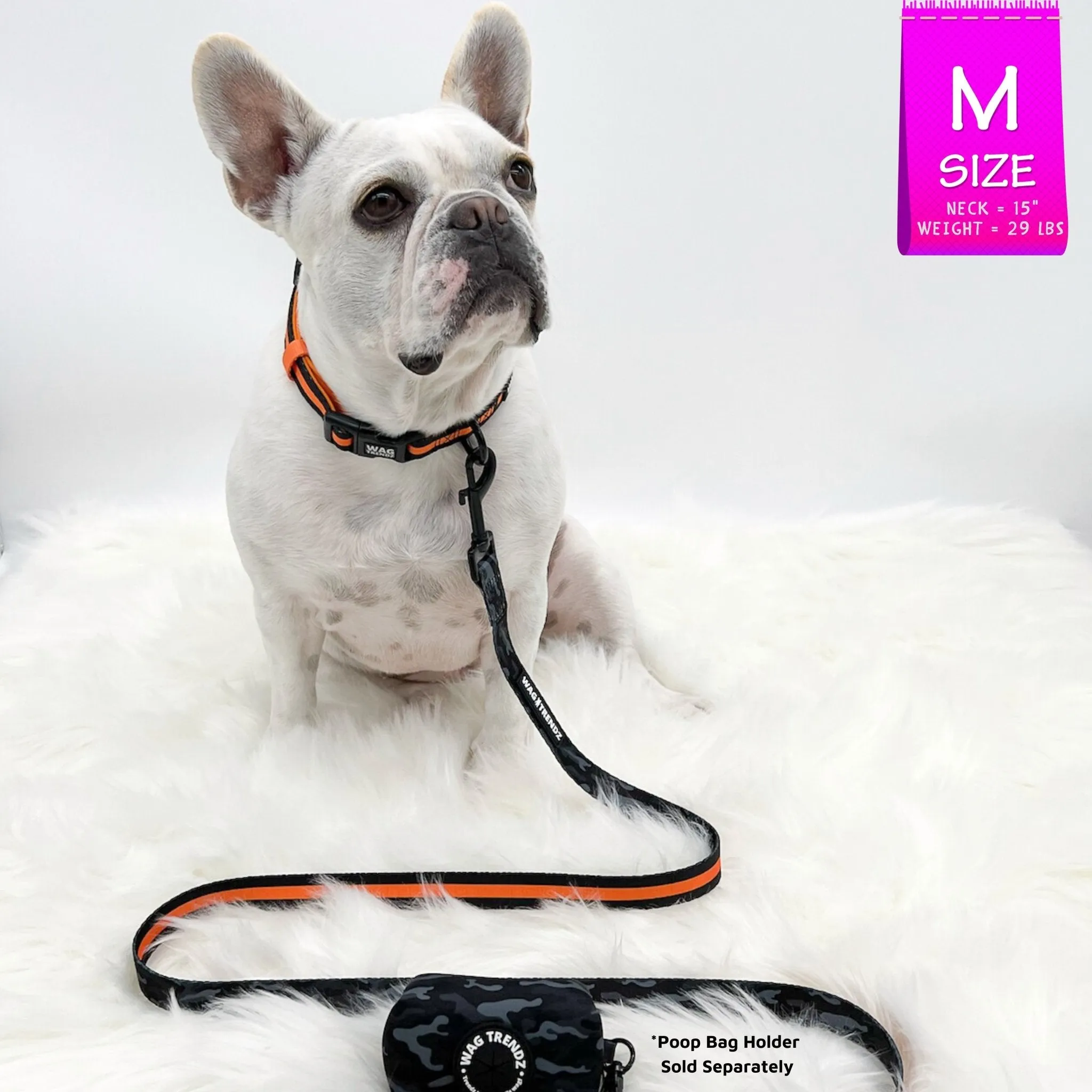 Dog Collar, Harness and Leash Set | Camo Chic (SHēk) Orange