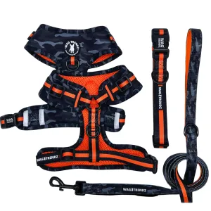 Dog Collar, Harness and Leash Set | Camo Chic (SHēk) Orange