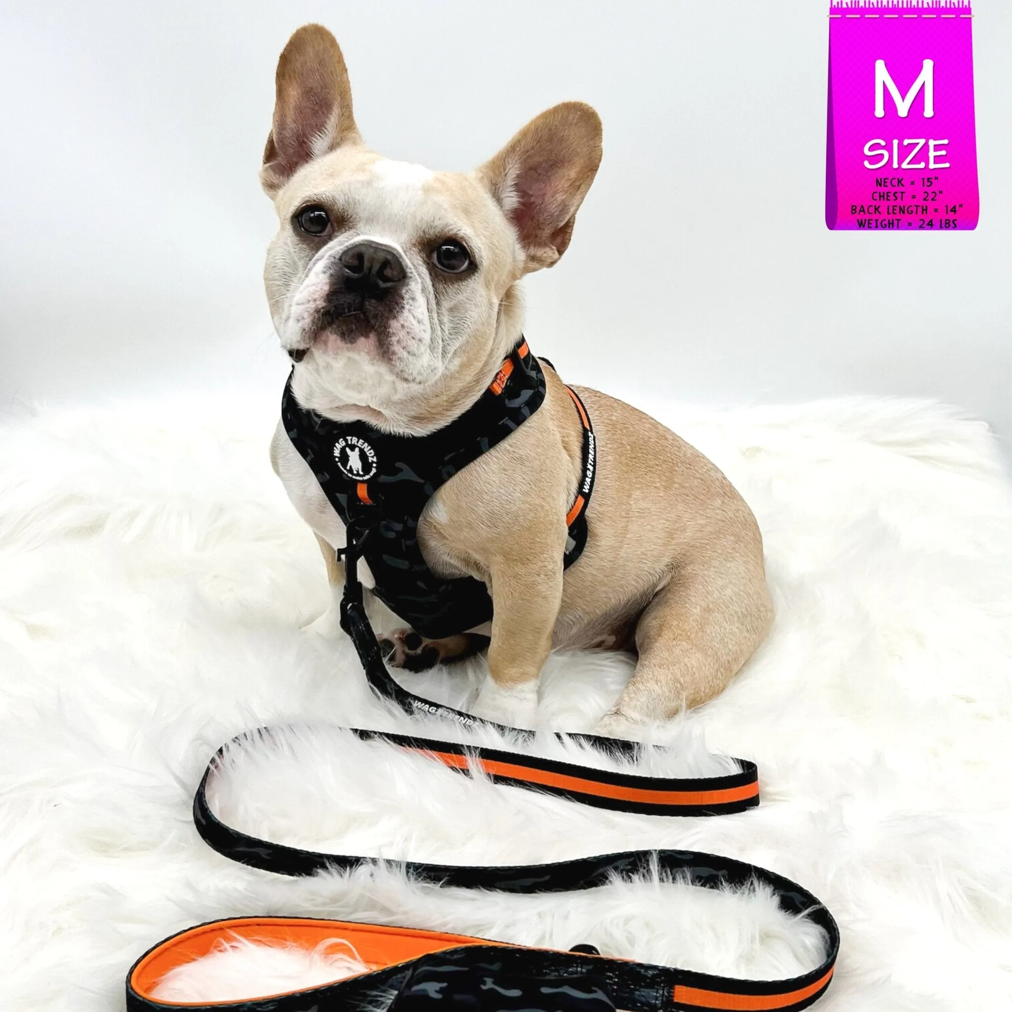 Dog Collar, Harness and Leash Set | Camo Chic (SHēk) Orange