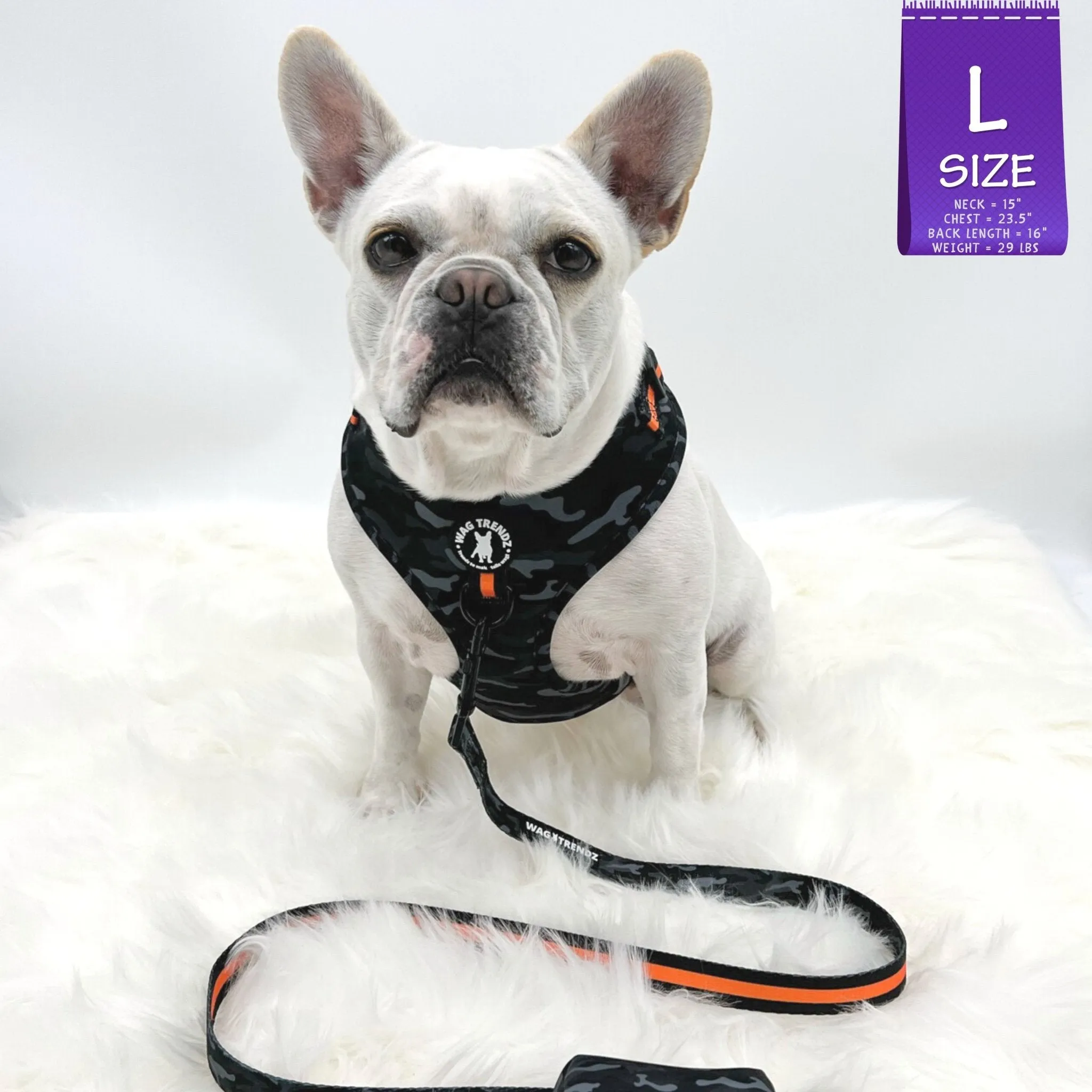 Dog Collar, Harness and Leash Set | Camo Chic (SHēk) Orange