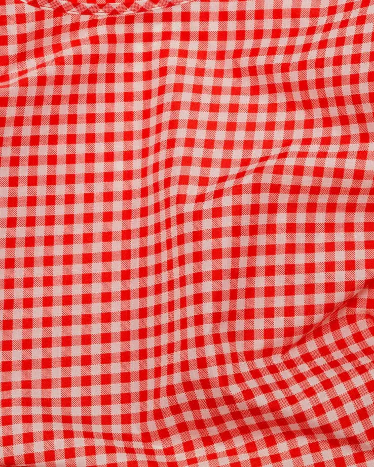 Standard Baggu: Red Gingham
